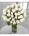 Clarity Luxury Rose Bouquet - 48 Stems Clarity Luxury Rose Bouquet - 48 Stems